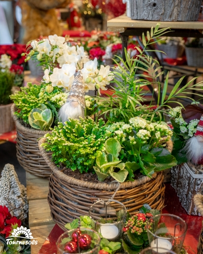 Arrangement floral de Noël décoratif et durable dans un pot.